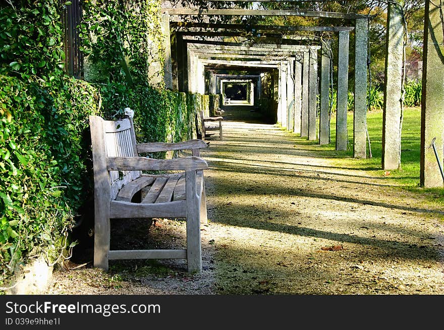 In the morning relax in the park