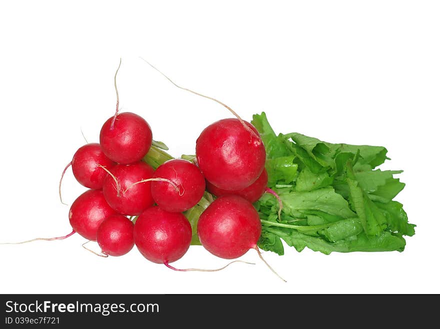 Radish From Green Leaves