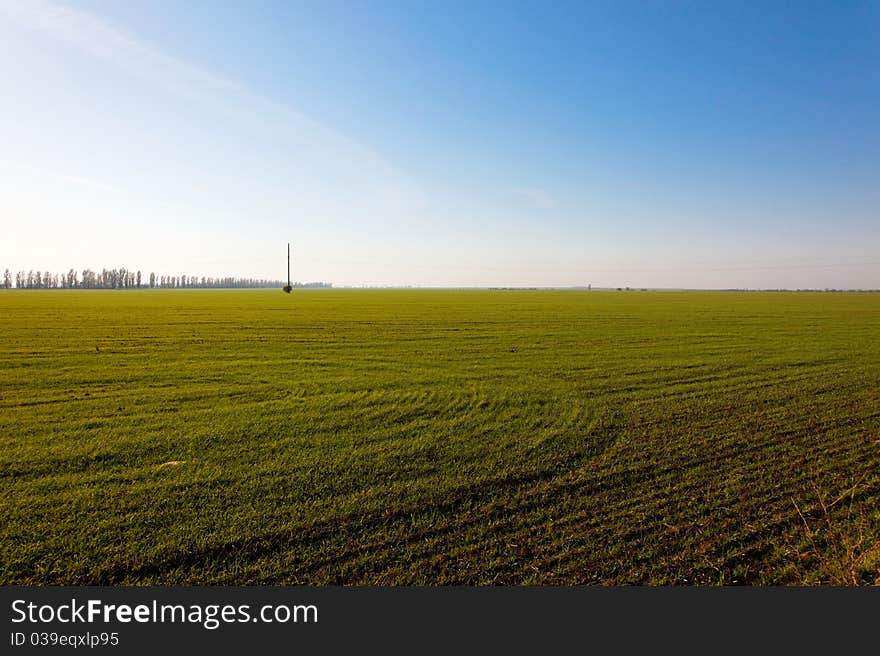 Green field on blue sky background. Green field on blue sky background