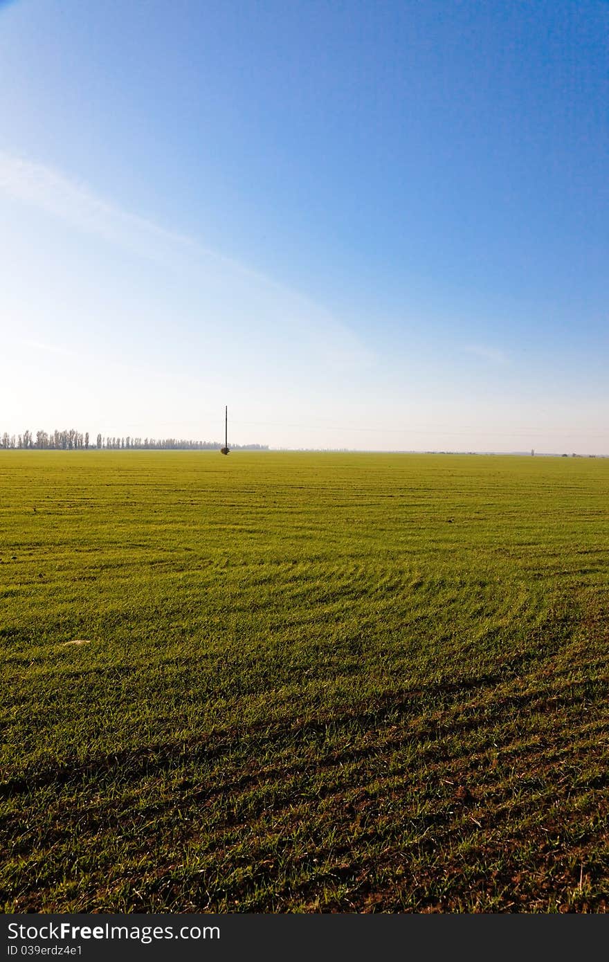 Green field on blue sky background. Green field on blue sky background