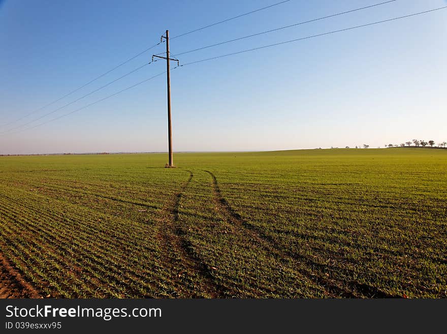 Power Line in Green field