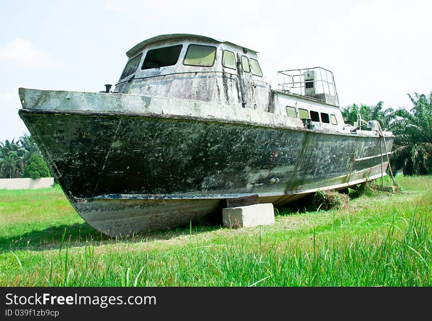 An old abandoned wooden boat on a grass field with palm at the background. An old abandoned wooden boat on a grass field with palm at the background