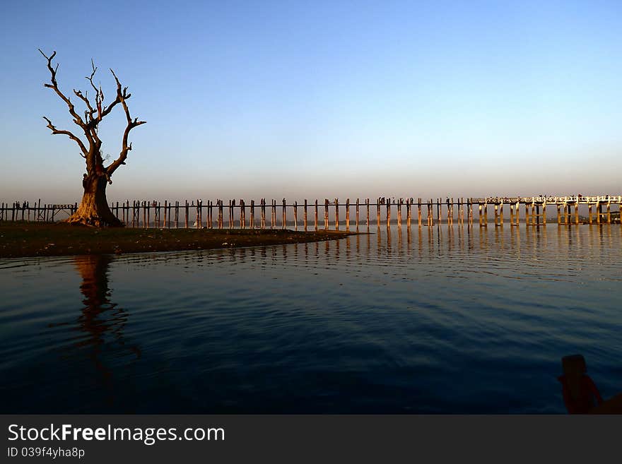 Landscape of wooden bridge and dead tree at dusk