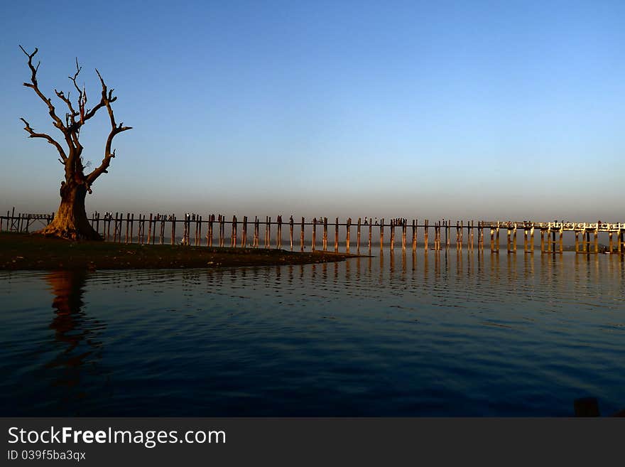 Landscape of a wooden bridge and dead tree at dusk