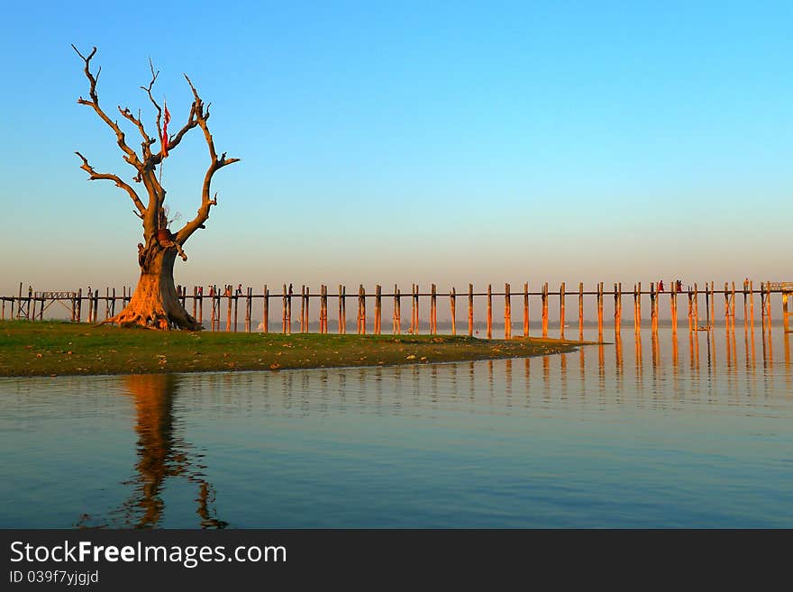 Landscape of wooden bridge and dead tree at sunset