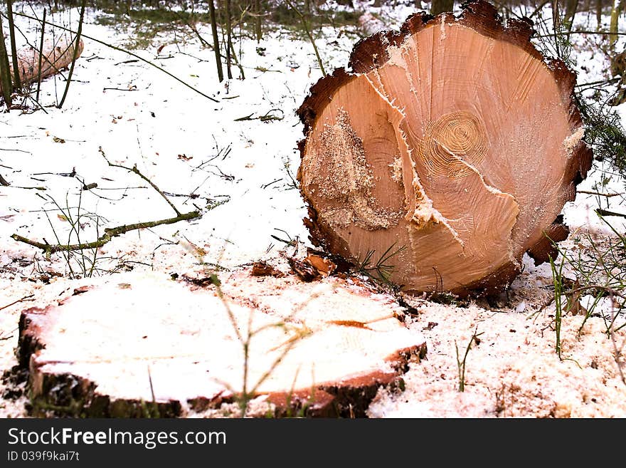 Old grey wood textured for abstract background