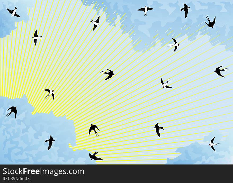 The sun shines from behind the clouds. Fly in the sky flocks of swallows and swifts. The sun shines from behind the clouds. Fly in the sky flocks of swallows and swifts