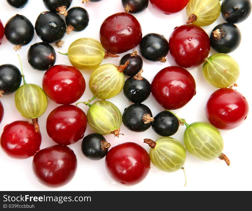 Ripe berries