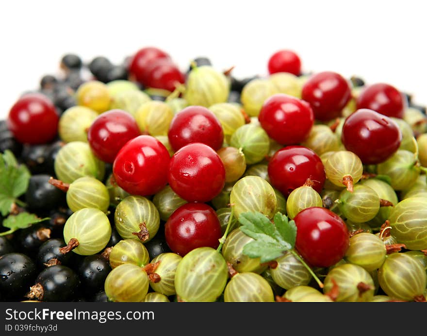 Ripe berries