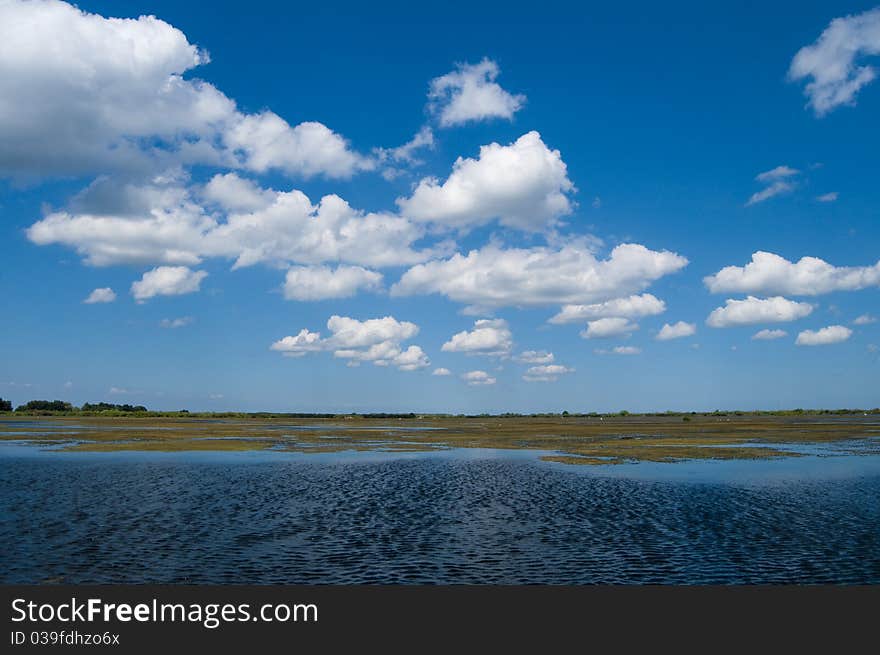 Danube Delta Landscape