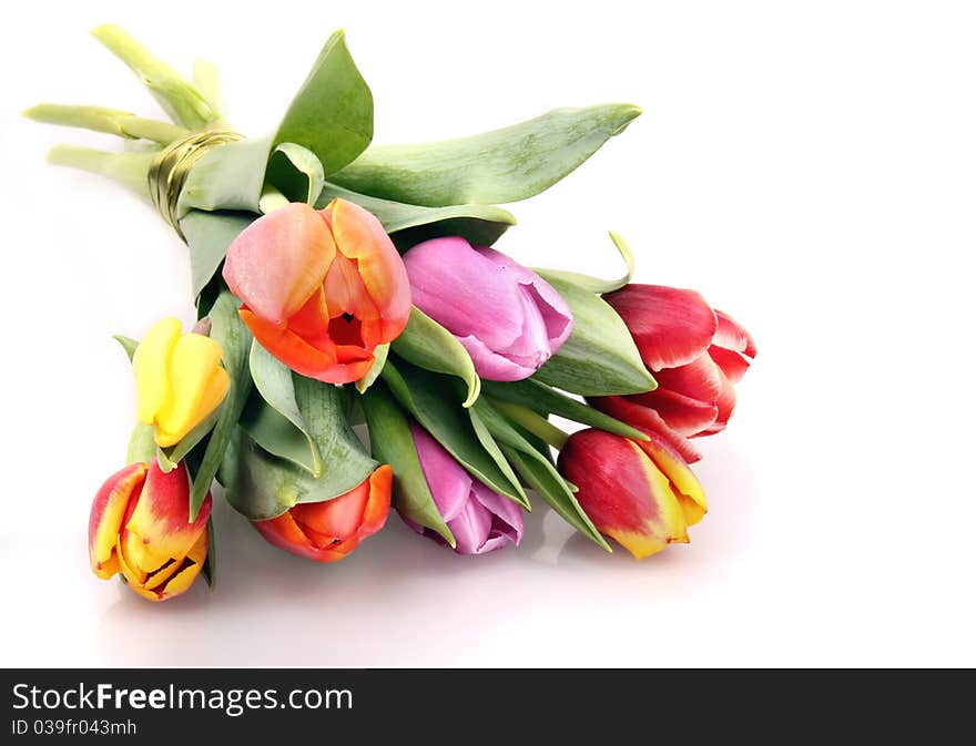 Fresh Spring flowers on white background. Fresh Spring flowers on white background