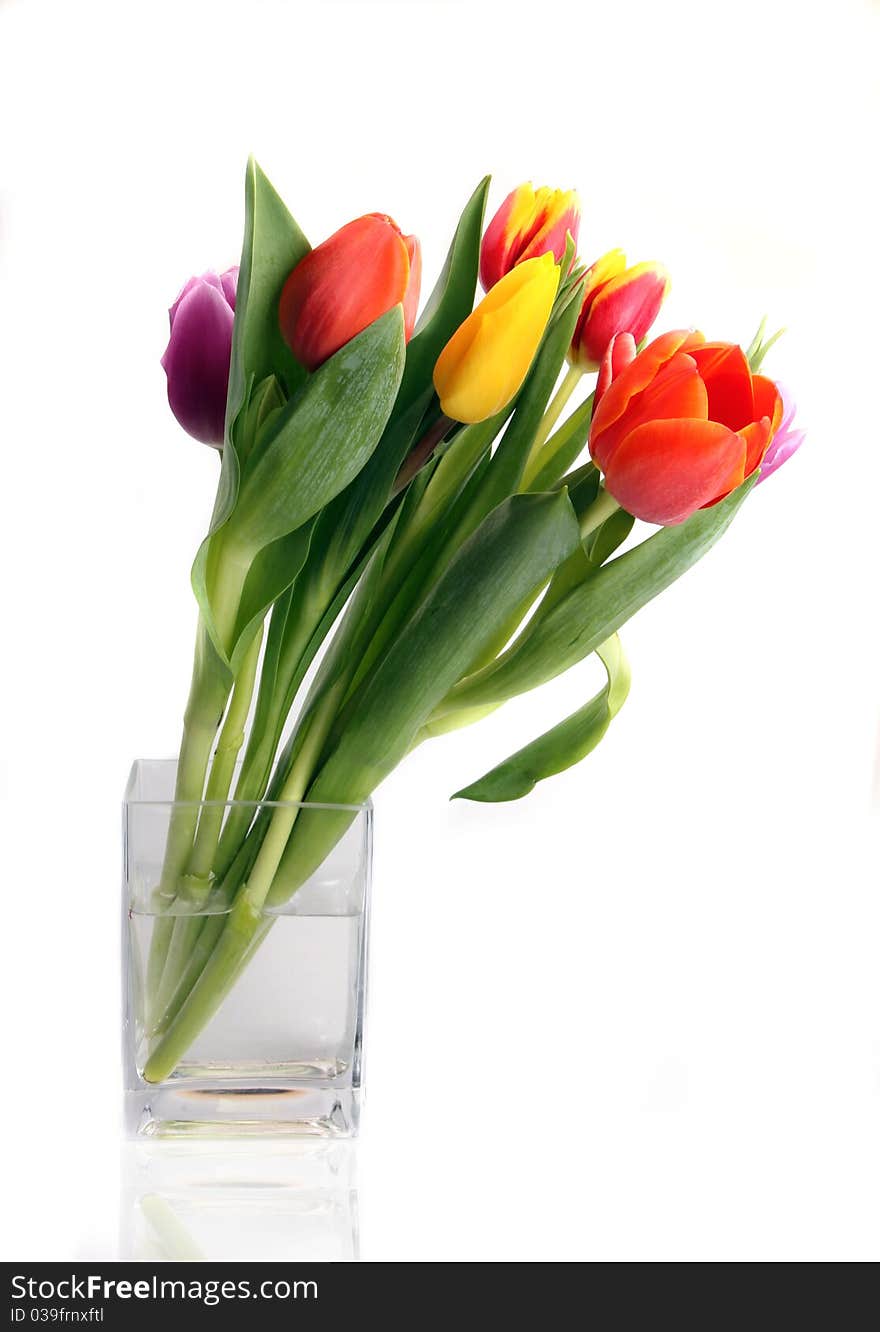 BOuquet of tulips in vase, isolated on white background. BOuquet of tulips in vase, isolated on white background