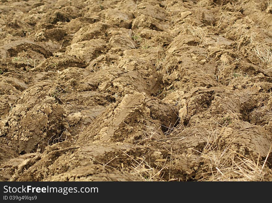 A close-up of plowed field. Dried grass visible between the dirt.