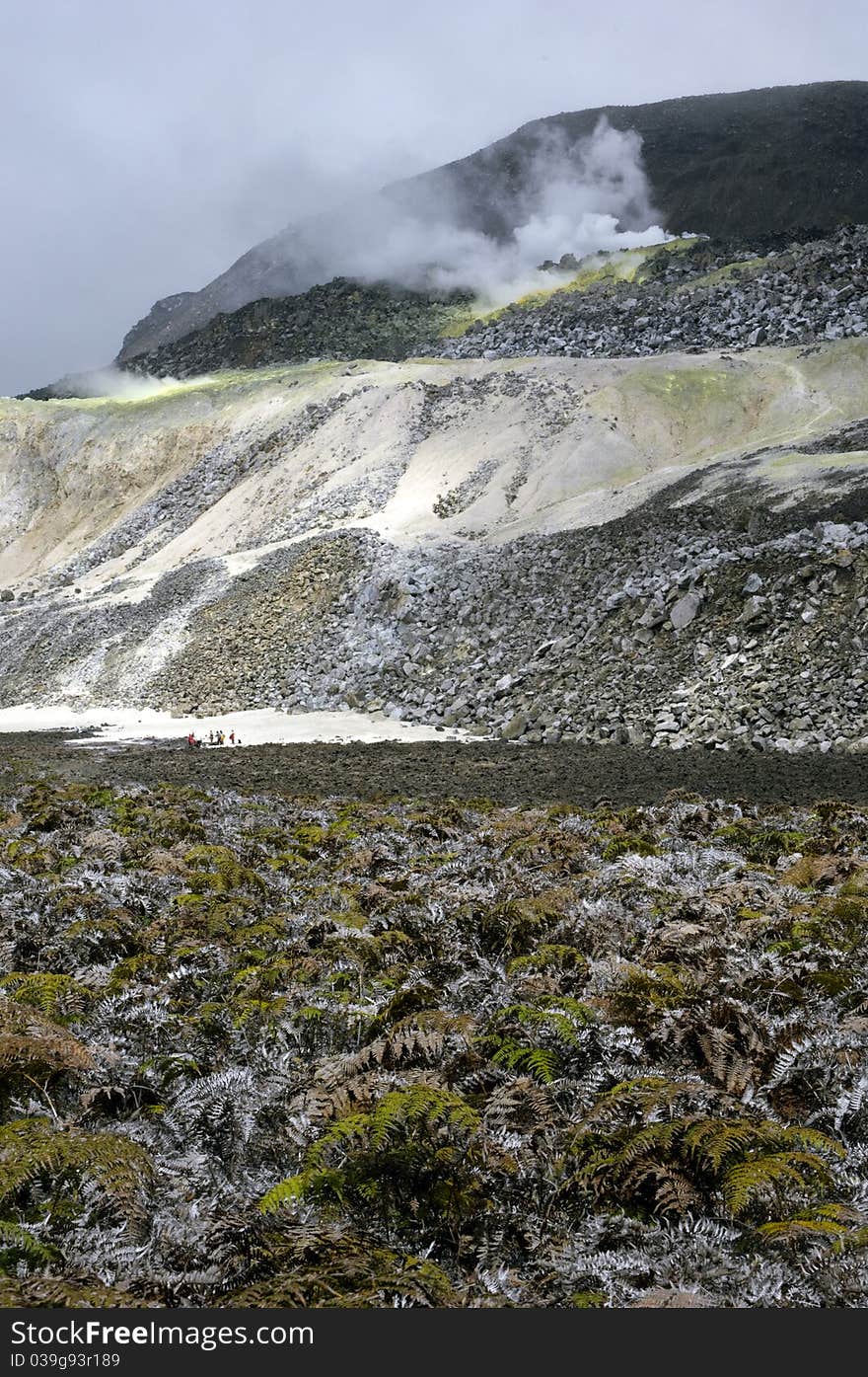 Galapagos Sulfur Volcano