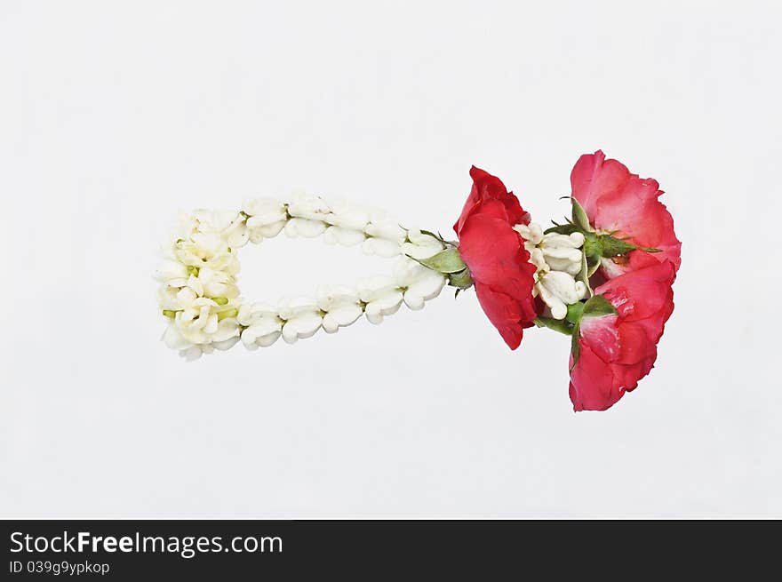 Jasmine Thai Garland isolate, Malai flower, Thailand