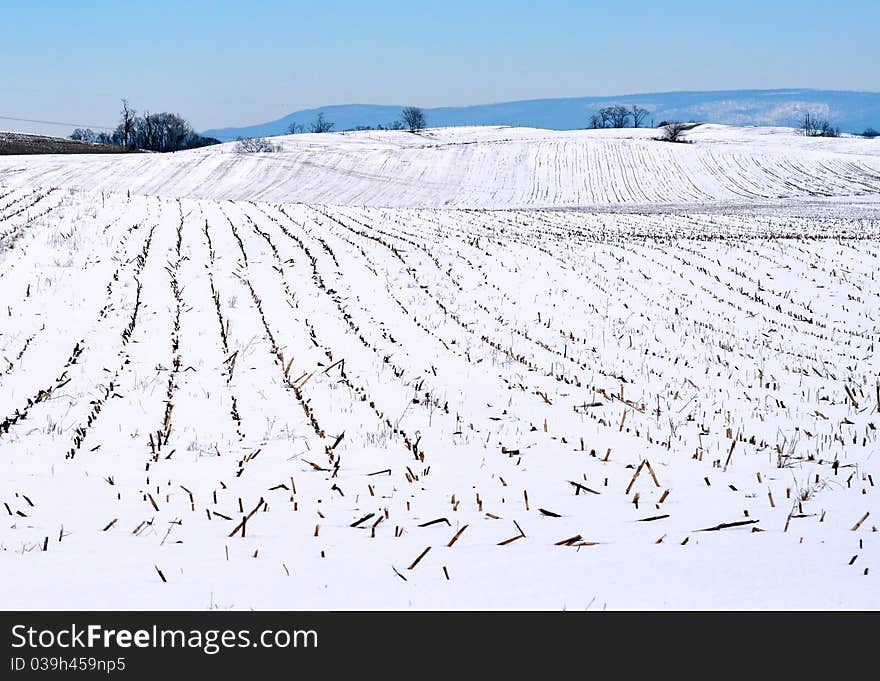 Landscape of a Maryland farm in winter. Landscape of a Maryland farm in winter