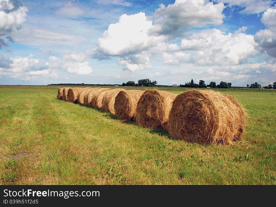 Rye harvest month scenery with straw bales