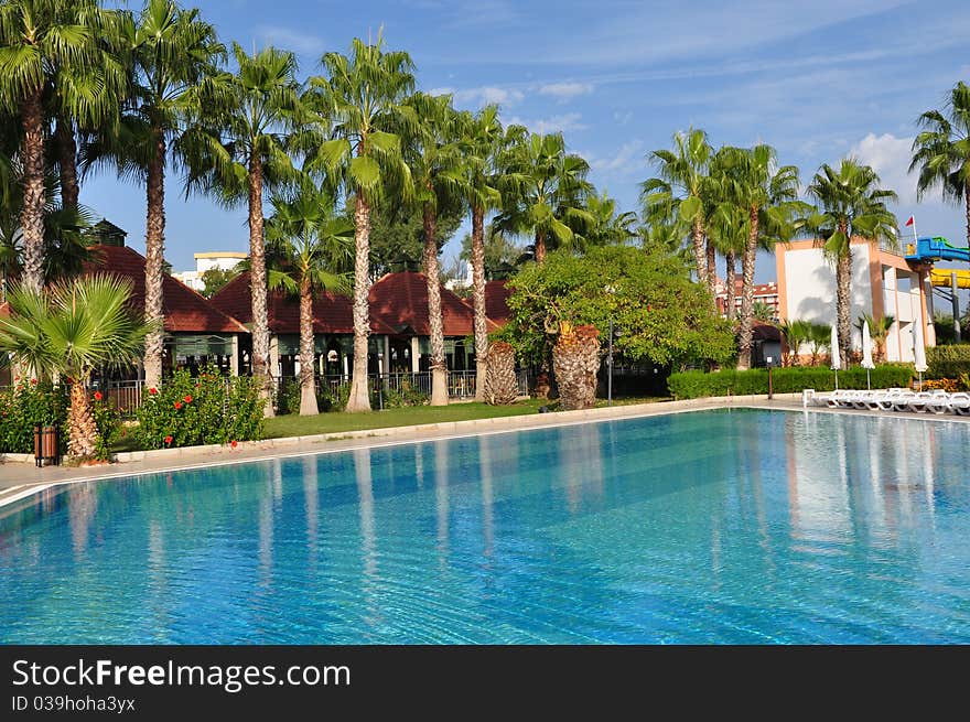 Empty pool with palm trees in background. Empty pool with palm trees in background.