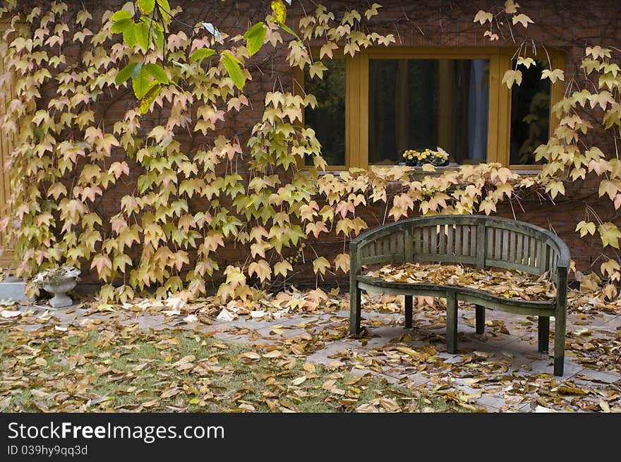 A lonelly bench at autumn with colourful leaves in