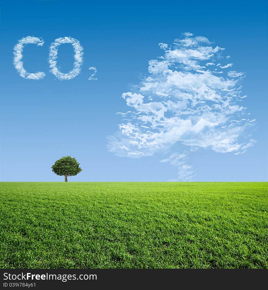 Cloud in a tree on a green meadow