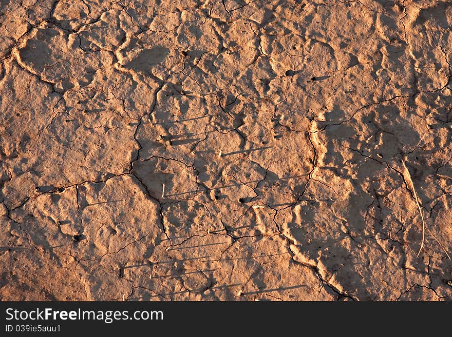 Closeup of dry cracked dirt surface of verneukpan, a large saltpan in south africa