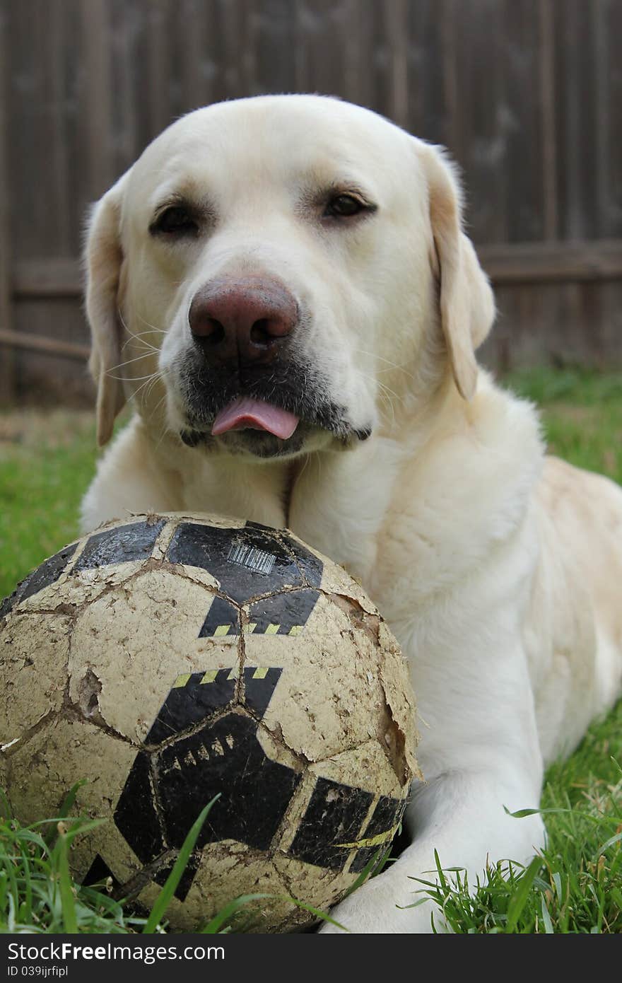 Taking care of my soccer ball. Ready to get back in the game. Love how he sticks out his tongue!. Taking care of my soccer ball. Ready to get back in the game. Love how he sticks out his tongue!