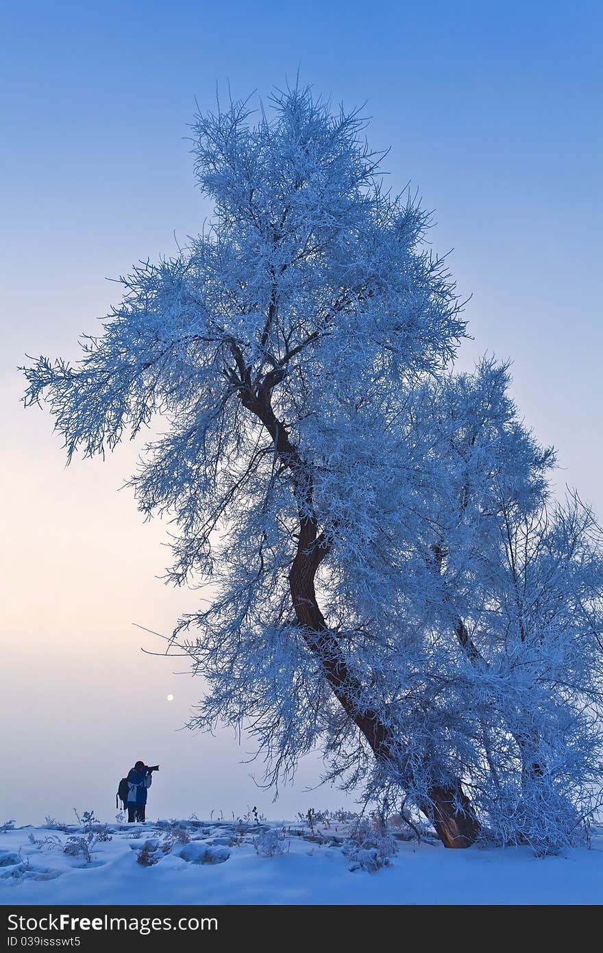 Winter landscape