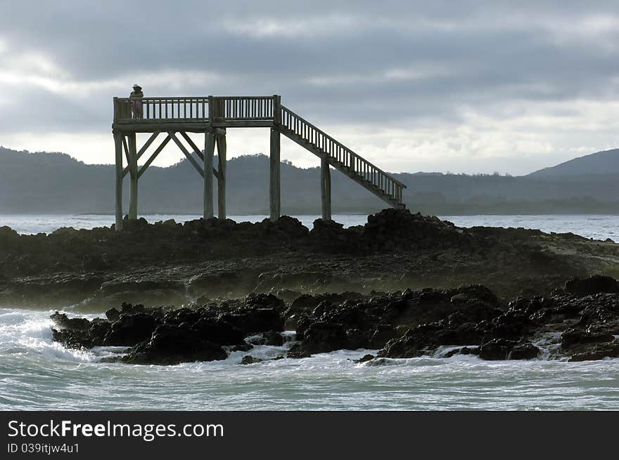 The Galapagos Islands