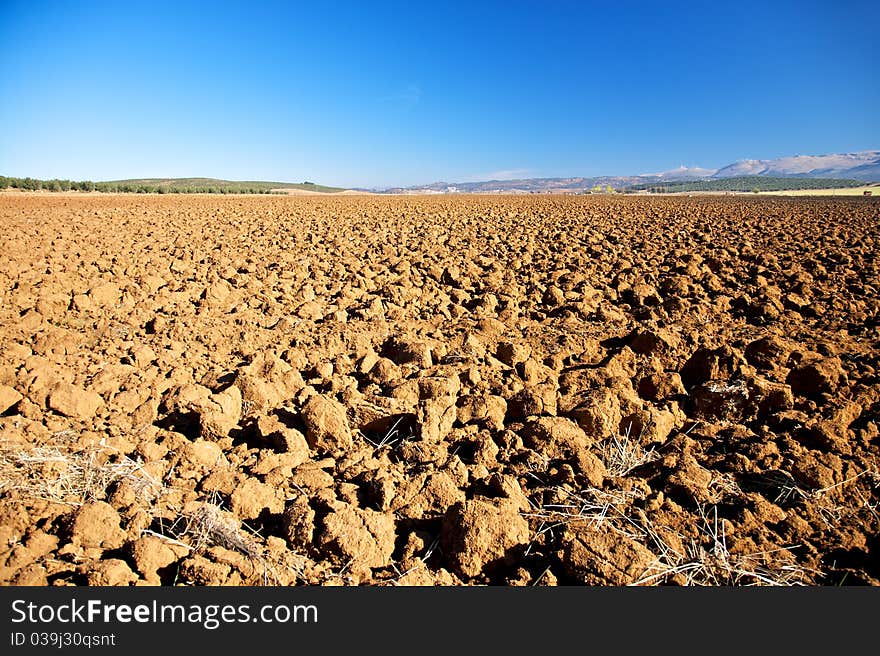 Fields at Archidona in Andalucia Spain