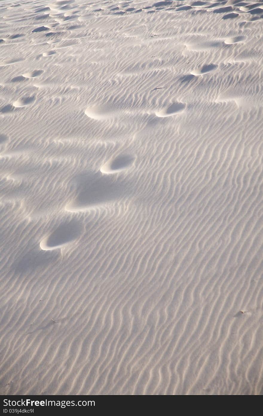 Soft Treads On Sand