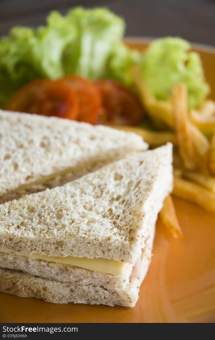 Ham and cheese sandwich with french fried on a plate.