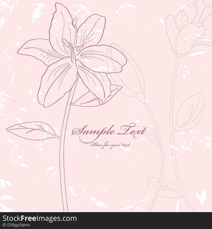 Vector pictures with pink lilia flowers