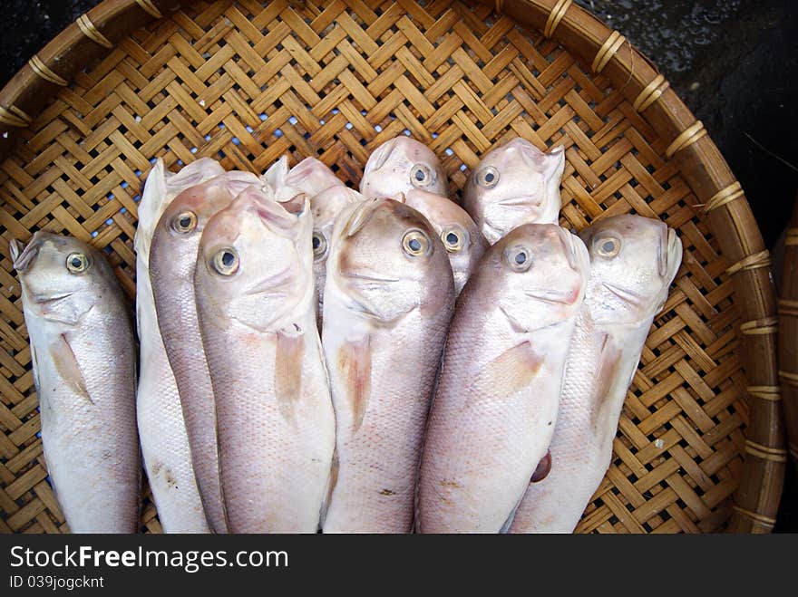 Marine fish, marine fish from the sea salvage back, very fresh; now lying in the market, waiting for people to purchase. Fish, is that people particularly like to eat marine life.