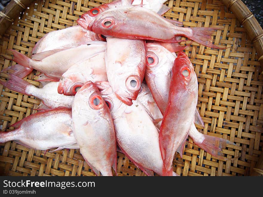 Marine fish, marine fish from the sea salvage back, very fresh; now lying in the market, waiting for people to purchase. Fish, is that people particularly like to eat marine life.