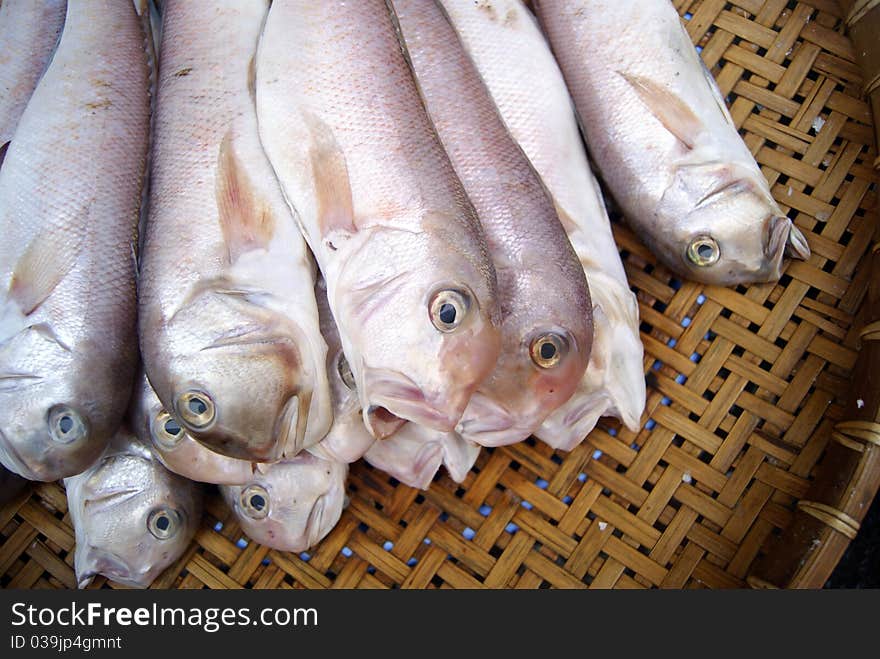 Marine fish, marine fish from the sea salvage back, very fresh; now lying in the market, waiting for people to purchase. Fish, is that people particularly like to eat marine life.