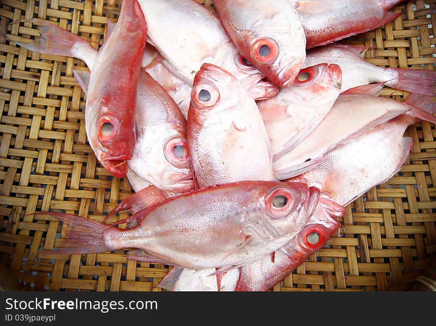 Marine fish, marine fish from the sea salvage back, very fresh; now lying in the market, waiting for people to purchase. Fish, is that people particularly like to eat marine life.