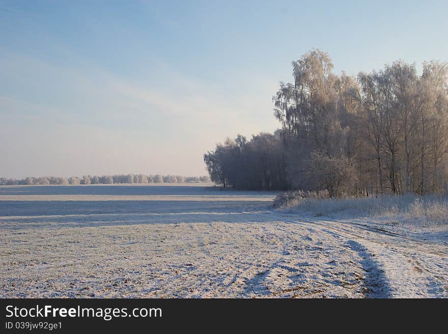 Winter Field