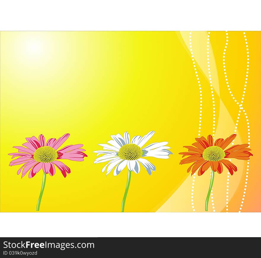 Three flowers. vector