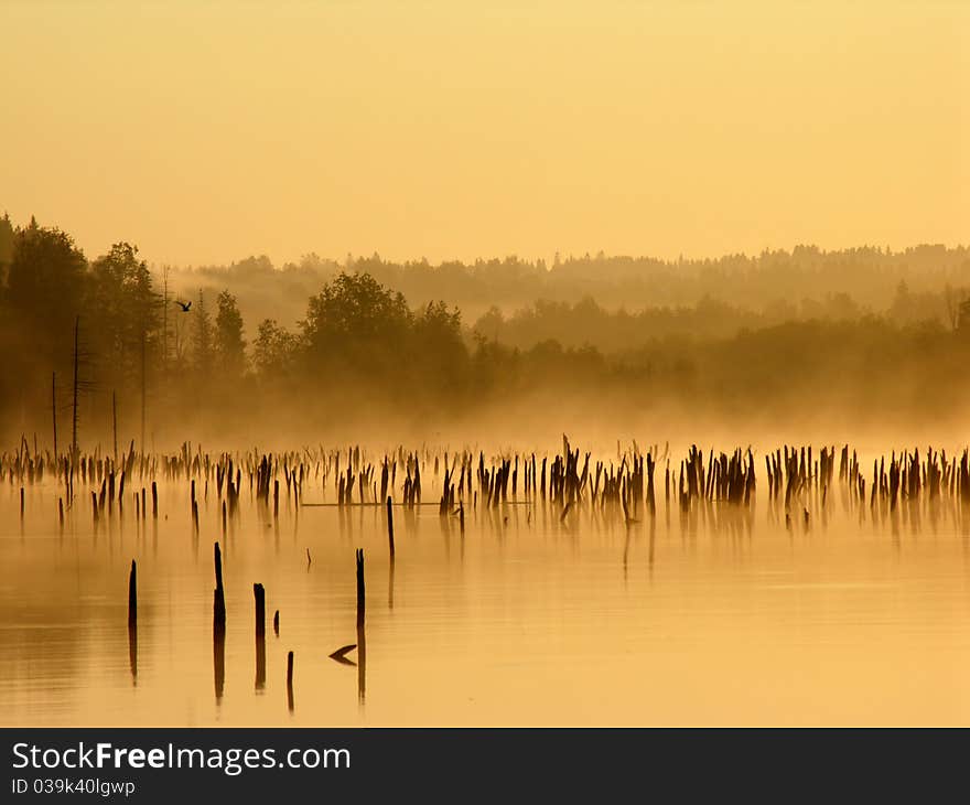 Morning on the lake