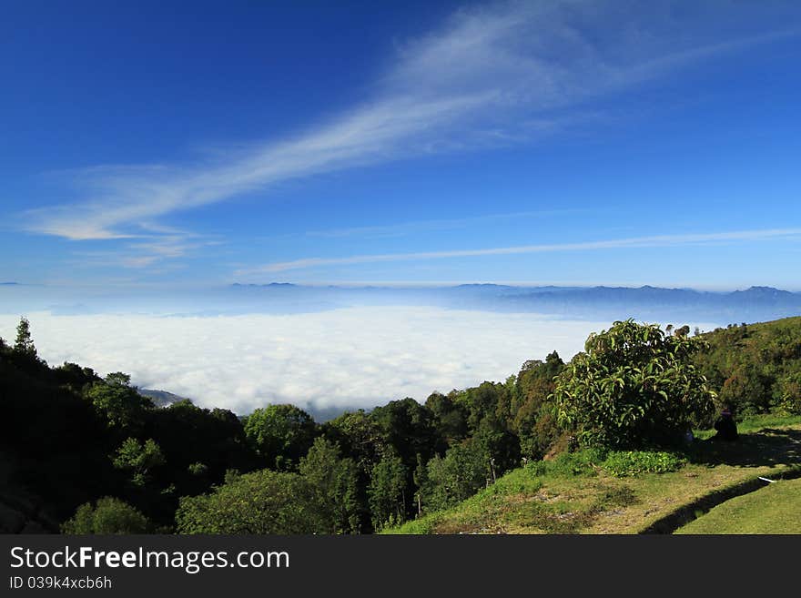 Sea of mist