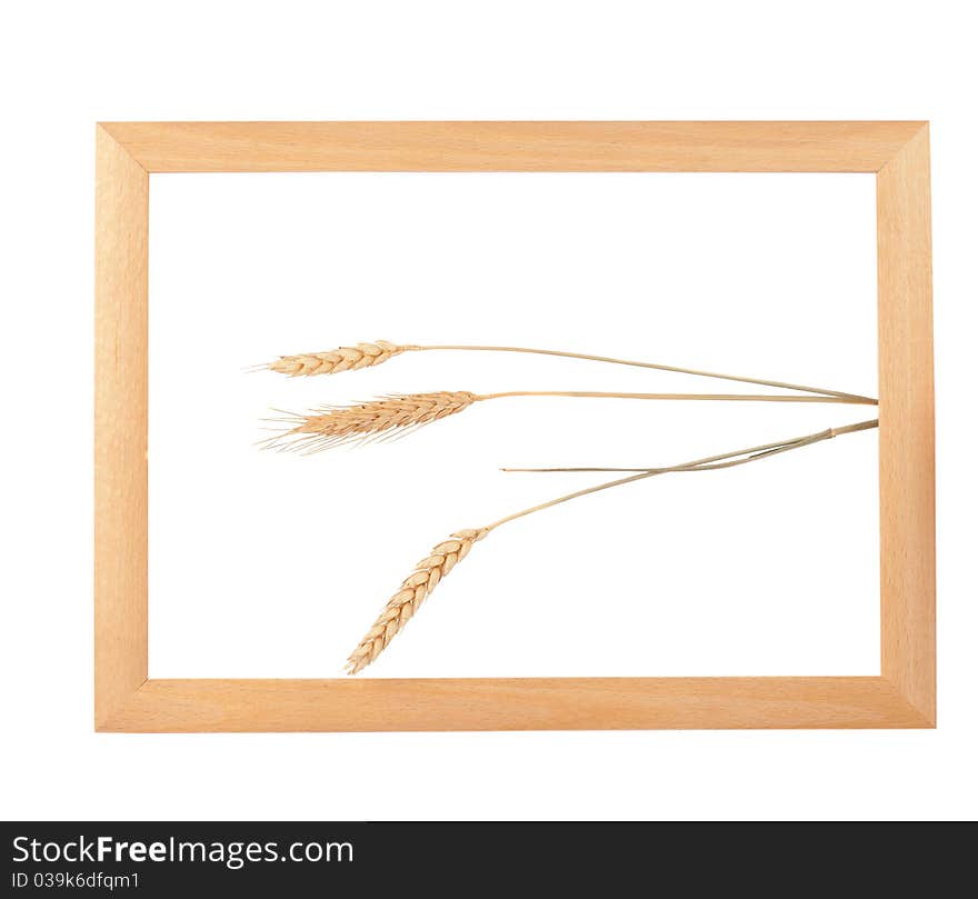 Wooden frame with spikelets of wheat on a white background