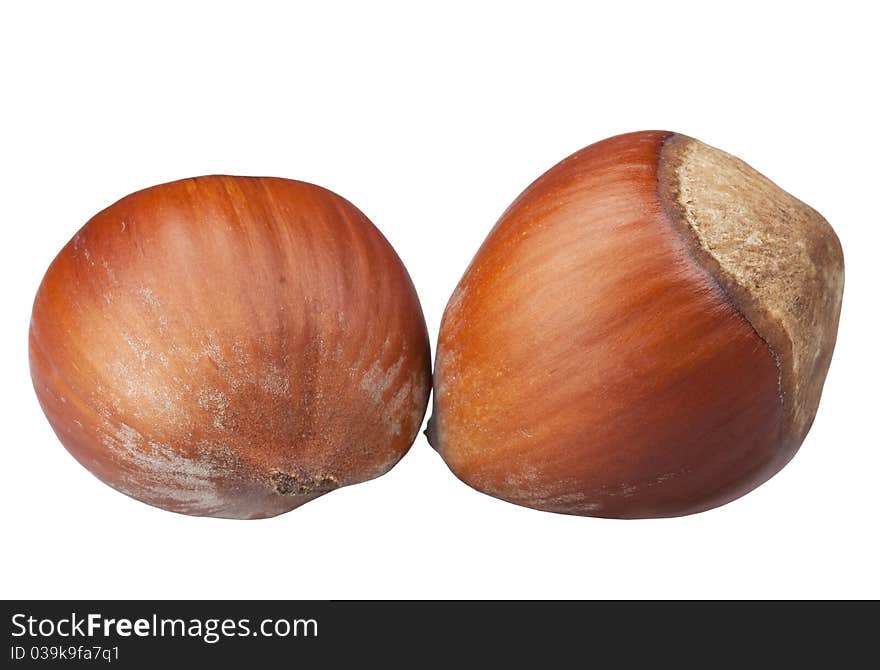 Two of hazelnuts in the shell isolated on white background. Two of hazelnuts in the shell isolated on white background