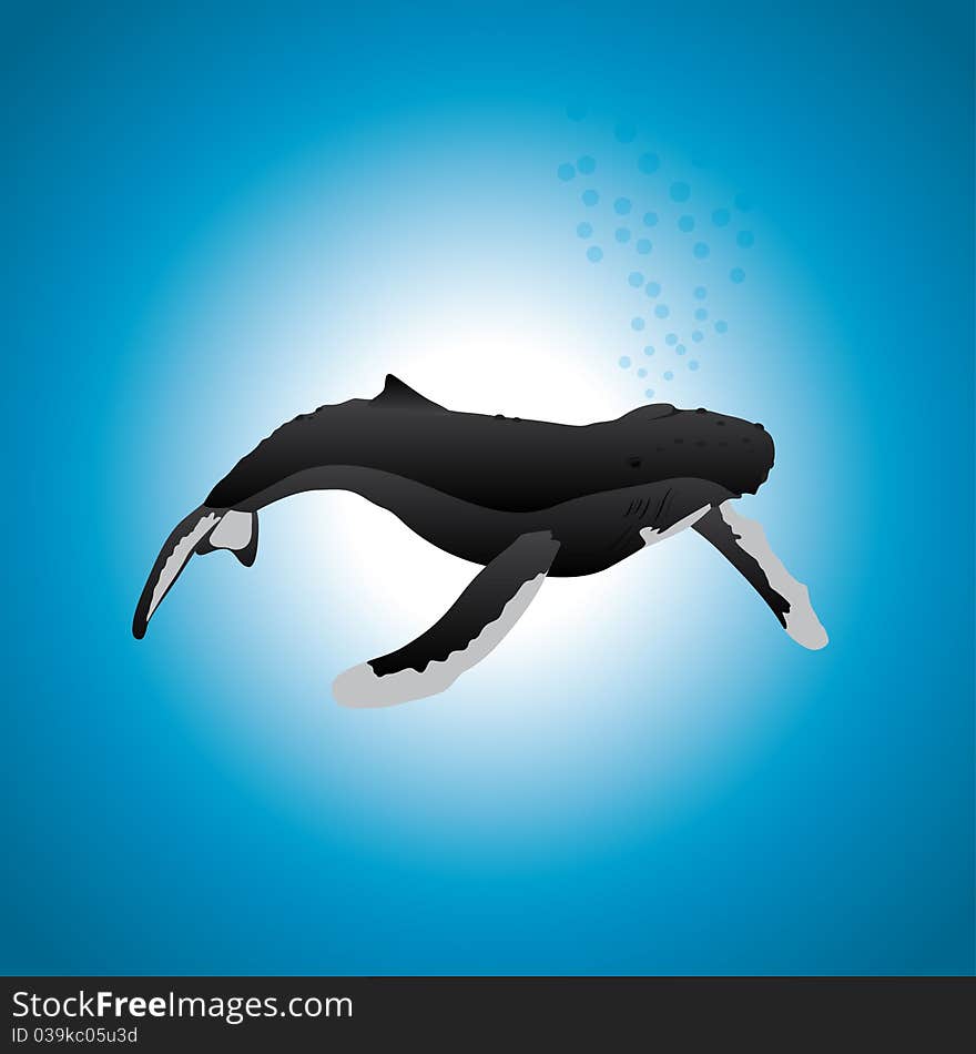 Humbpack Whale