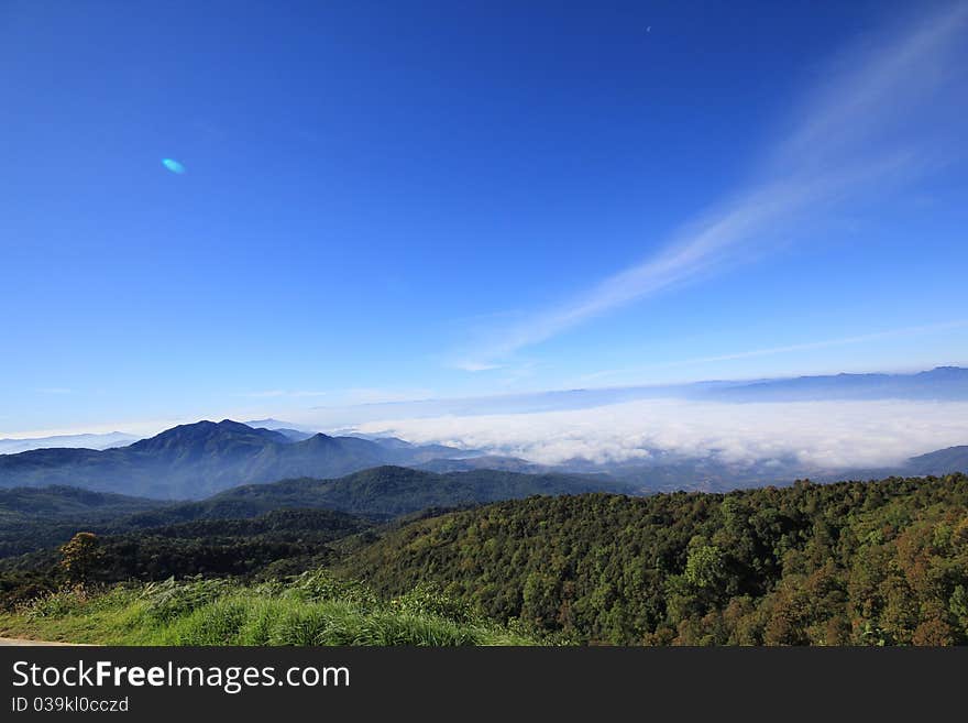 Sea of mist