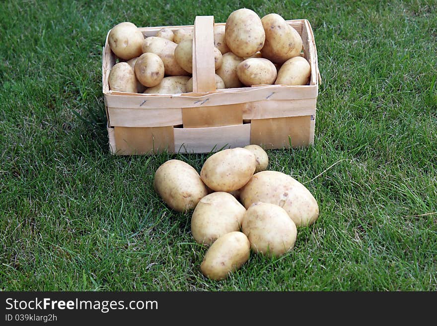 Potatoes