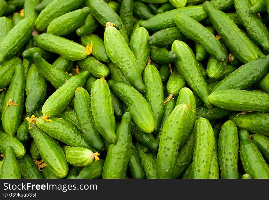 Cucumbers