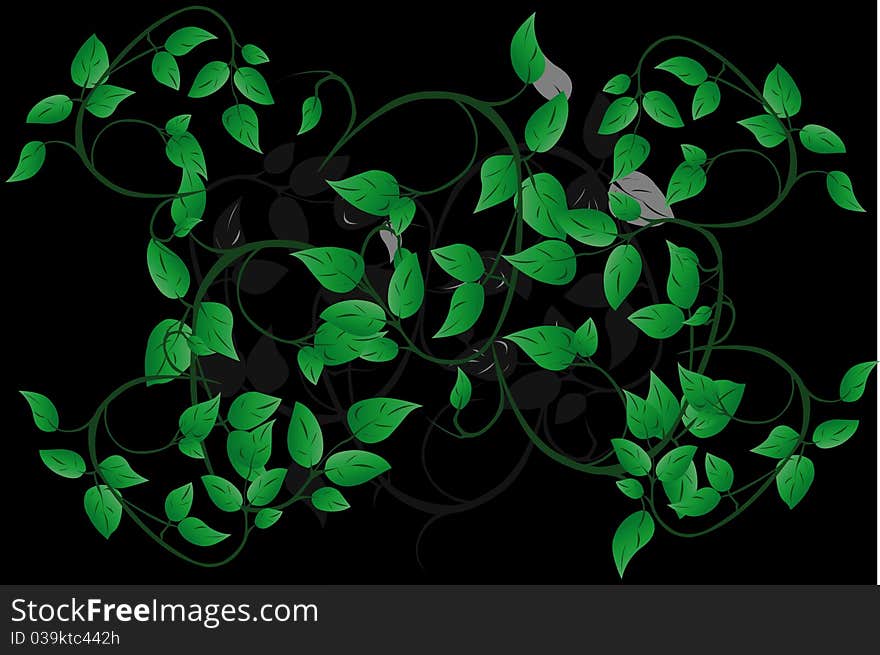 Vector illustration of pattern from leaves under the black background