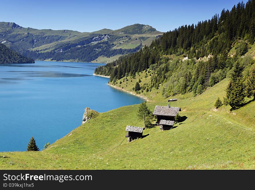 Grass and lake