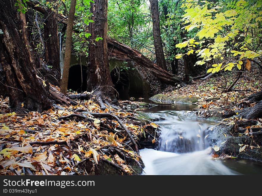 Autumn Stream