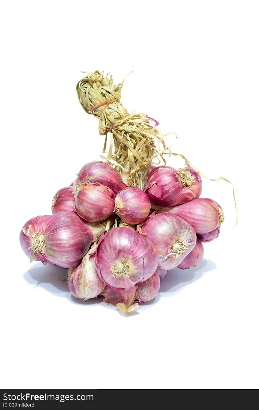 Onion